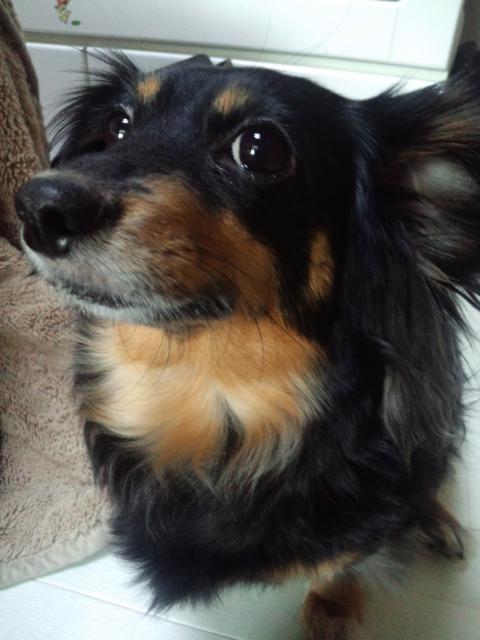 CA3H0020_20120502221319.jpg