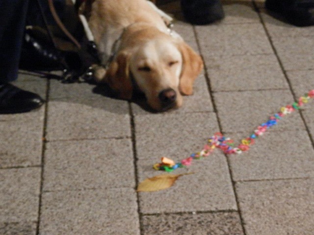 0822ニコラス