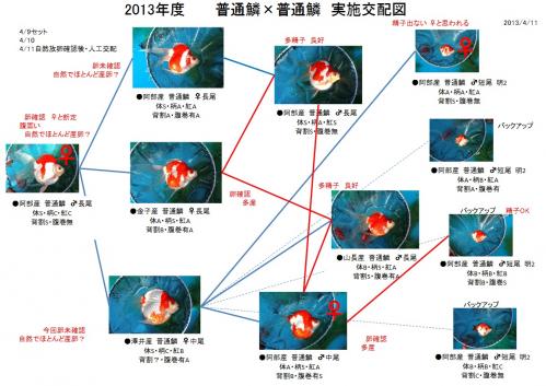 20130411B.jpg