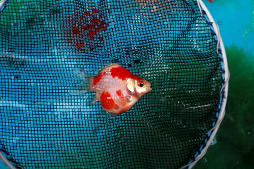20130411CB.jpg