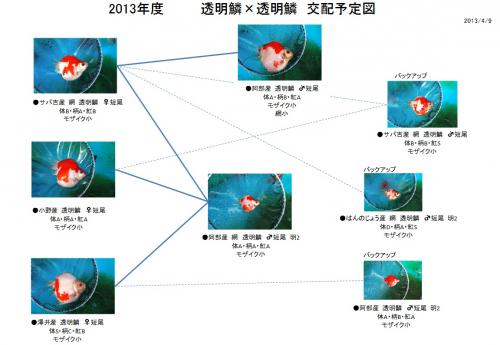 20130411CD.jpg