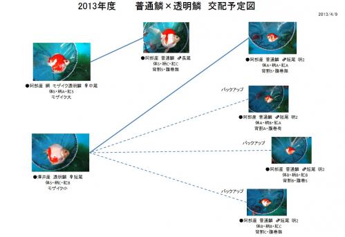 20130411EC.jpg