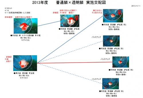 20130411F.jpg