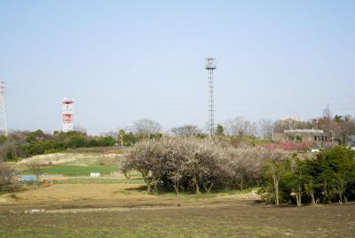 DSC_8188.jpg