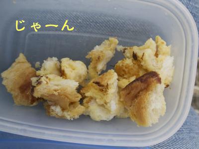 DSC_8228_2.jpg