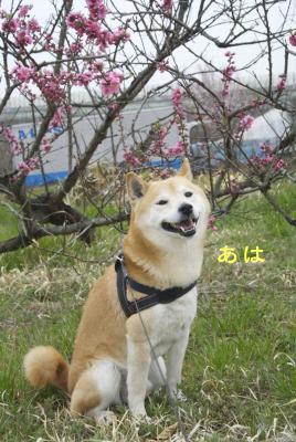 DSC_8287_2.jpg