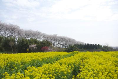 DSC_8739.jpg