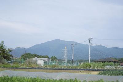 DSC_9733.jpg
