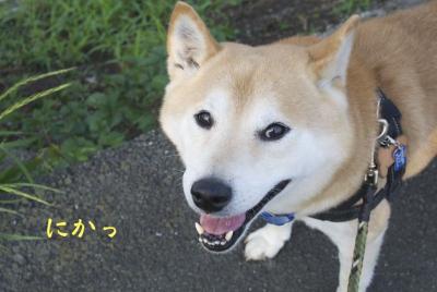 DSC_9821.jpg