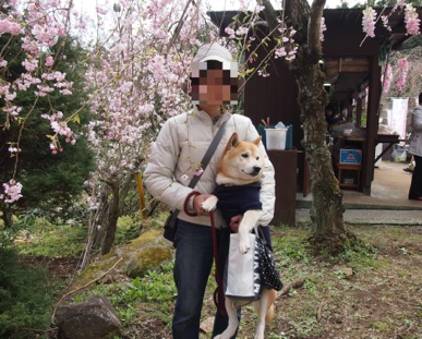 fc2blog_201303271847362ef.jpg