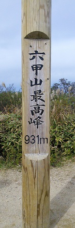 IMG_20141108_121840~2