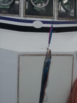 20120810_150030.jpg