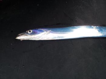 20120810_150049.jpg