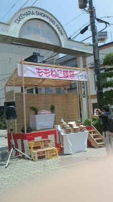 NEC_0025.jpg