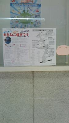 NEC_0042.jpg
