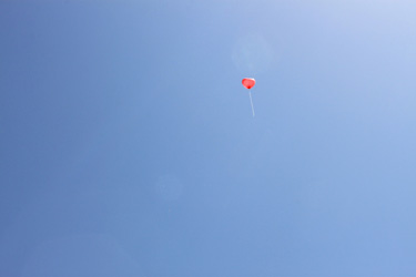 2012 300.2jpg