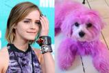 emma-watson-185.jpg