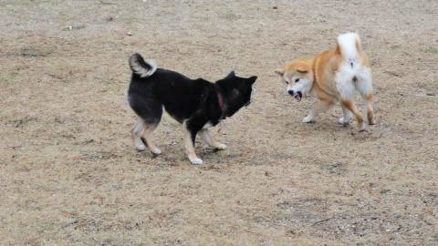 DSC01269_convert_20140205165025.jpg