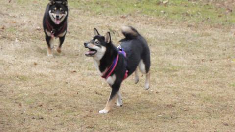 DSC01322_convert_20140206171618.jpg