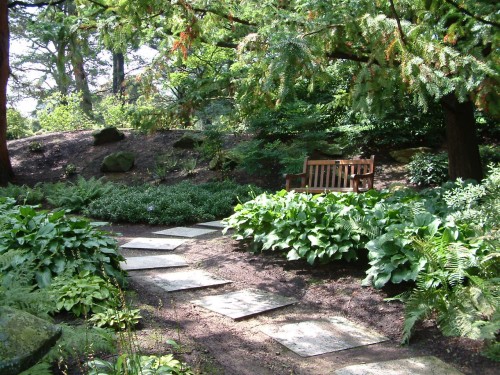 2012/09/24 Shade Landscaping Ideas Ideas and landscaping design ...
