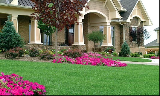 Shrubs For Landscaping Best evergreen shrubs for landscaping :Landscape