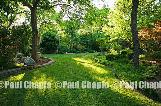 Shade Landscaping