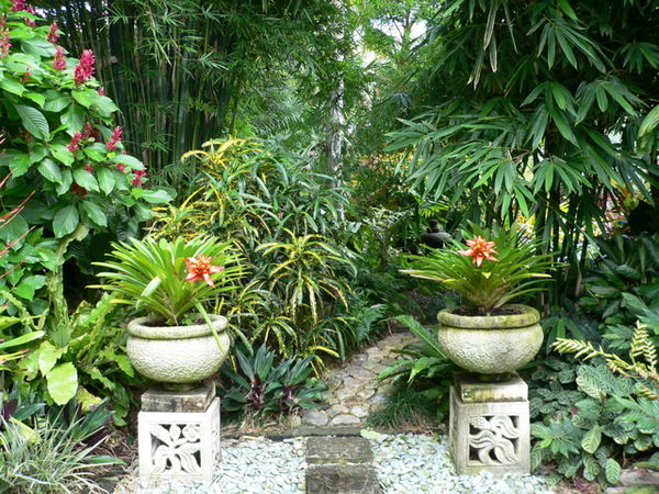 Small Tropical Gardens