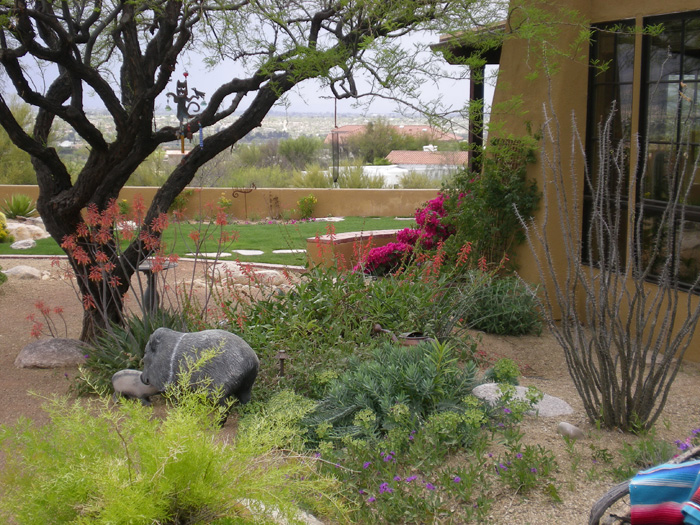 Back Yard Landscaping Ideas Tucson AZ
