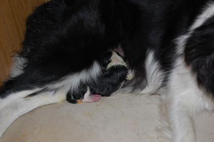 le_20121123_01.jpg
