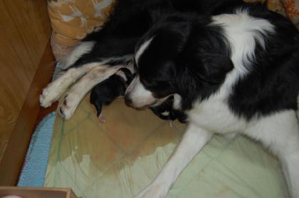 le_20121123_03.jpg