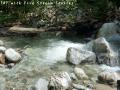 ssP1030614.jpg