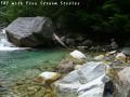 ssP1030727.jpg