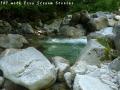 ssP1030729.jpg