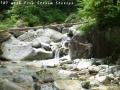 ssP1030730.jpg