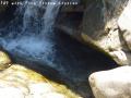 ssP1030808.jpg