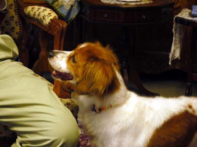 120721_13.jpg