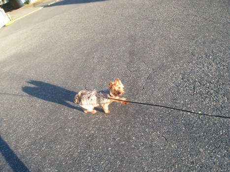 130407-2a.jpg
