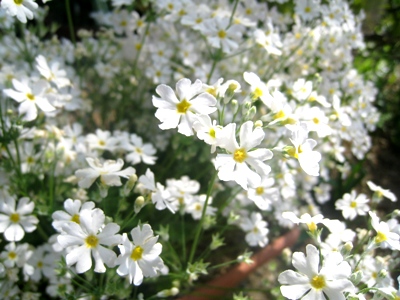 130419-2.jpg