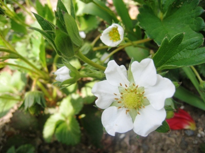 130419-5.jpg