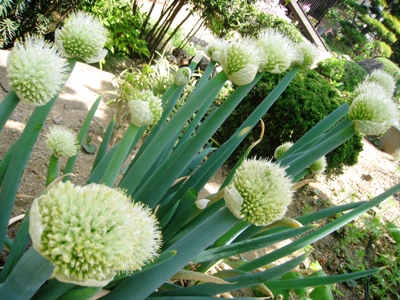 130419-6.jpg
