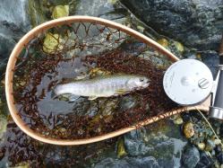 nagano_mkawa_03.jpg