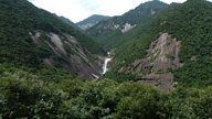 P1080242yakushima_s.jpg