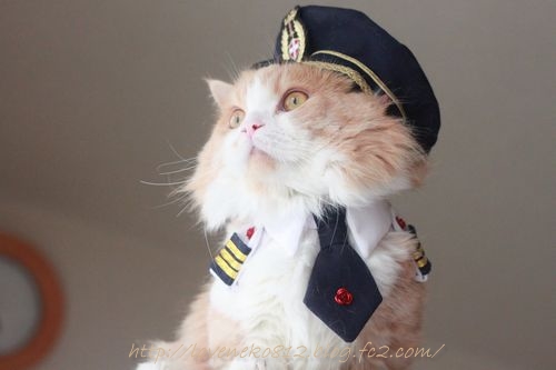 ブログ4