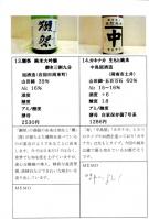 山口11