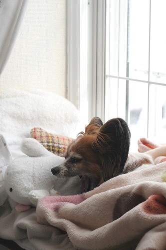 IMG_2012120203.jpg