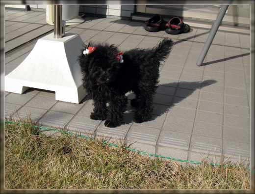 10IMG_2946.png