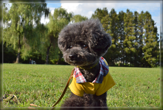 14DSC_0694.png
