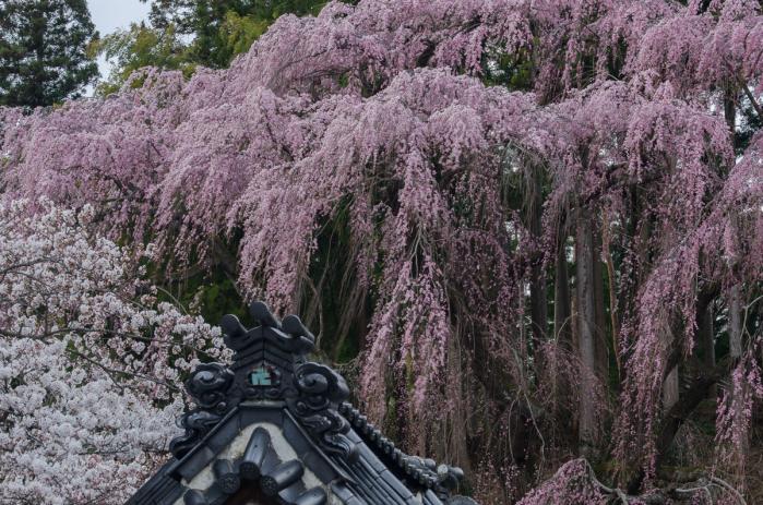 福聚寺