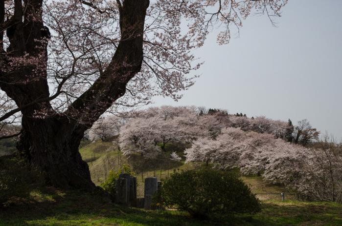 塩ノ崎