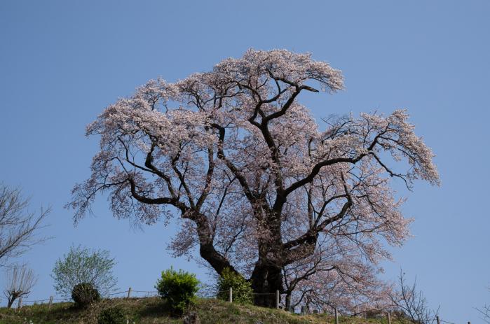 塩ノ崎
